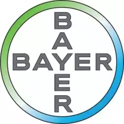 The Bayer foundation